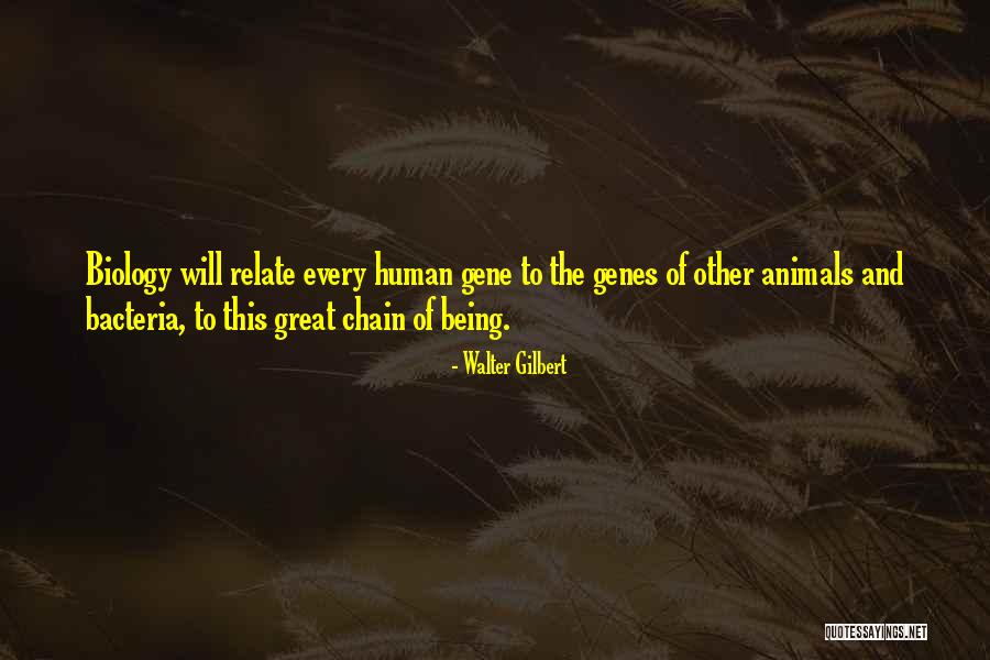 Bailment Contract Quotes By Walter Gilbert Bailment Contract Quotes By Walter Gilbert