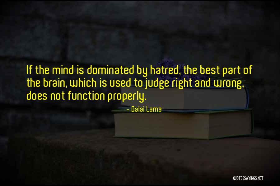 Bailouts In Financial Crisis Quotes By Dalai Lama Bailouts In Financial Crisis Quotes By Dalai Lama