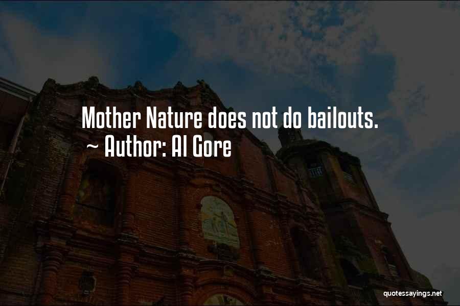 Bailouts Quotes By Al Gore