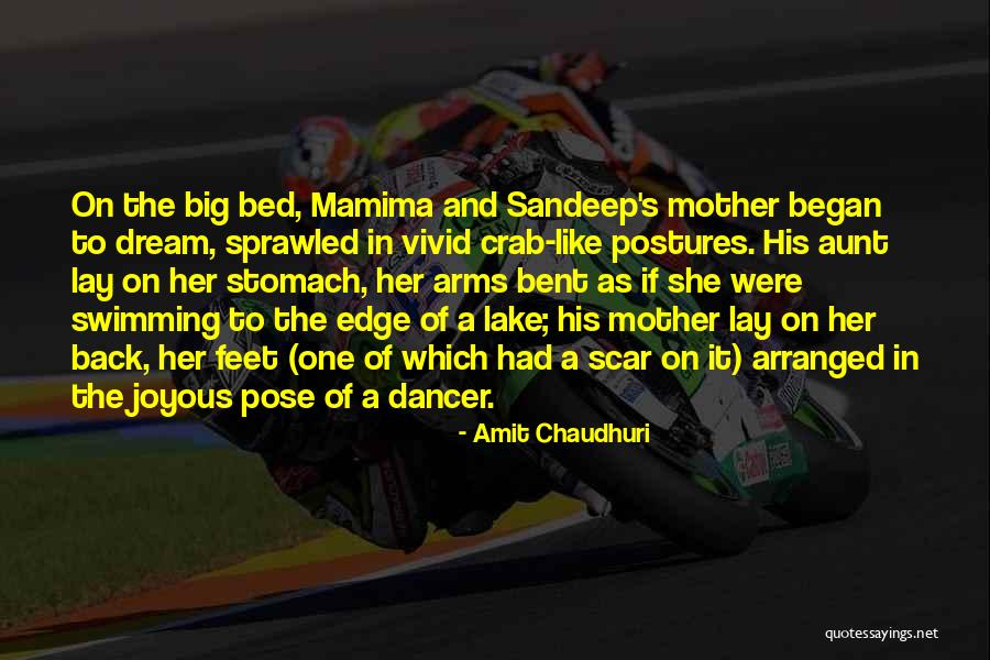 Baims Pro Quotes By Amit Chaudhuri Baims Pro Quotes By Amit Chaudhuri