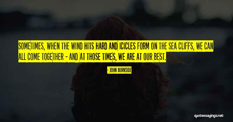 Baingan Bharta Quotes By John Burnside Baingan Bharta Quotes By John Burnside