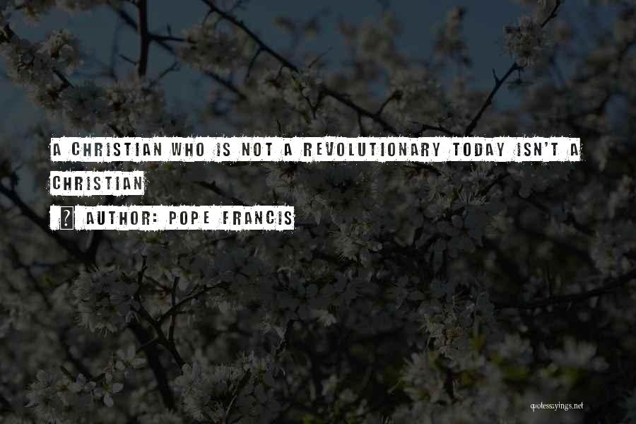 Baisers In French Quotes By Pope Francis