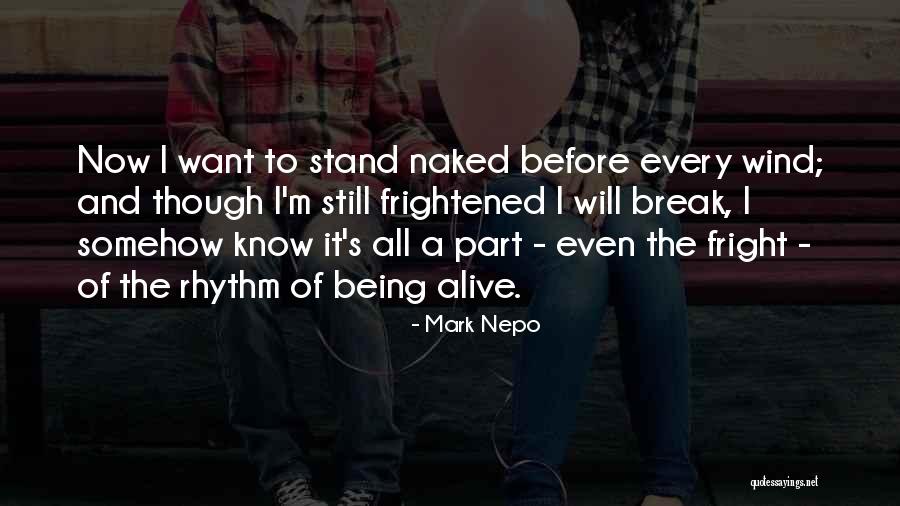 Bajada New Energy Quotes By Mark Nepo Bajada New Energy Quotes By Mark Nepo