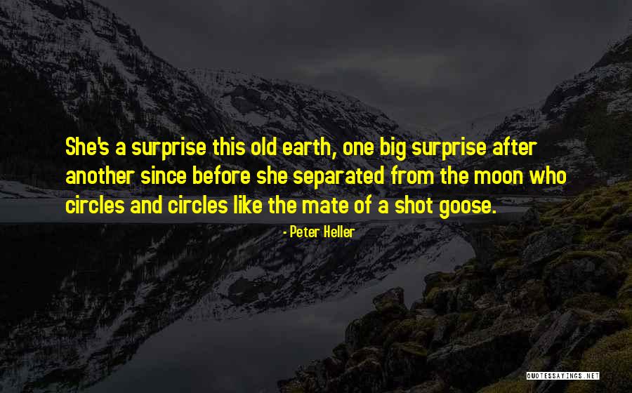 Bajalica Za Quotes By Peter Heller Bajalica Za Quotes By Peter Heller