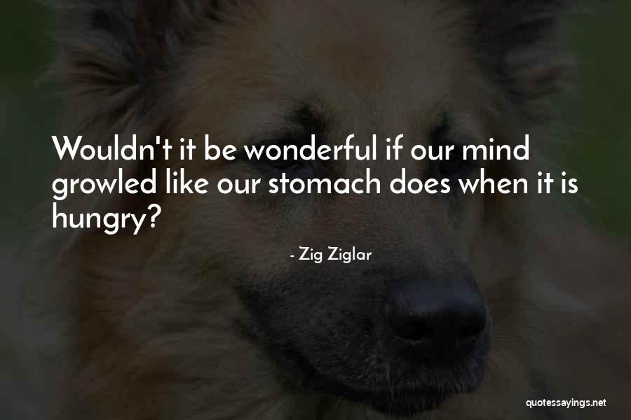 Bajando Calzones Quotes By Zig Ziglar Bajando Calzones Quotes By Zig Ziglar