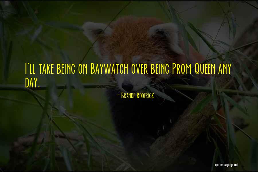 Bajkovina Quotes By Brande Roderick Bajkovina Quotes By Brande Roderick