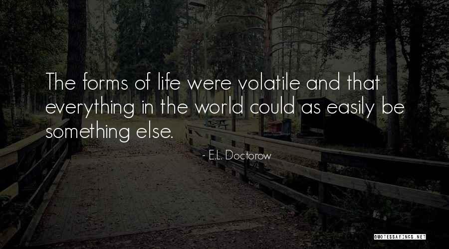 Bajkovo Quotes By E.L. Doctorow Bajkovo Quotes By E.L. Doctorow