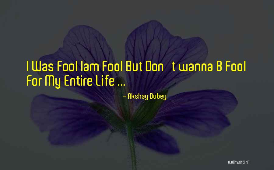 Bajoghli Amir Quotes By Akshay Dubey Bajoghli Amir Quotes By Akshay Dubey