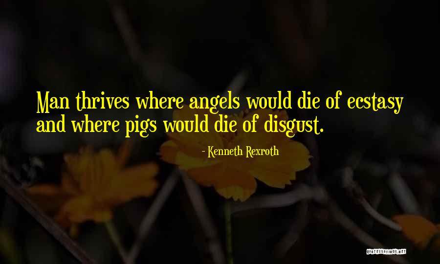 Bajraktar Quotes By Kenneth Rexroth Bajraktar Quotes By Kenneth Rexroth