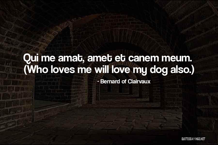Bajric Mugdim Quotes By Bernard Of Clairvaux Bajric Mugdim Quotes By Bernard Of Clairvaux