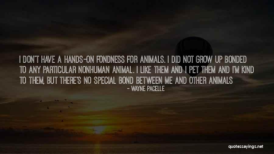 Bakalan Kambing Quotes By Wayne Pacelle Bakalan Kambing Quotes By Wayne Pacelle