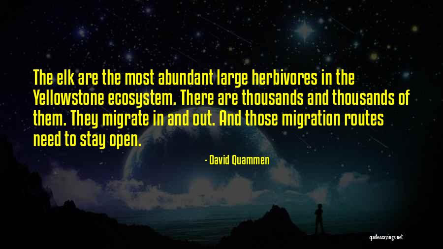 Bakhawan Beach Quotes By David Quammen Bakhawan Beach Quotes By David Quammen