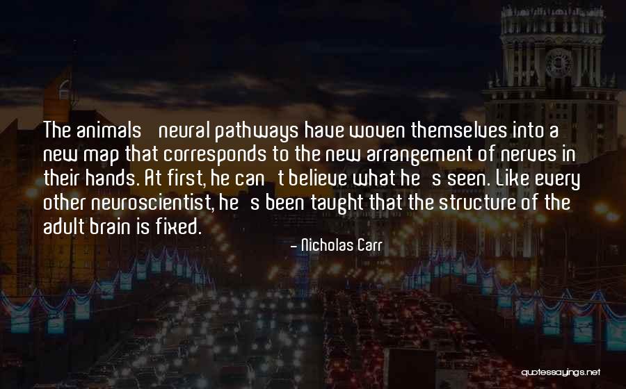Bakos Ferenc Quotes By Nicholas Carr Bakos Ferenc Quotes By Nicholas Carr