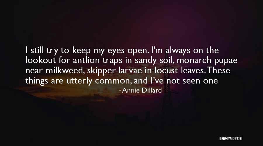 Bal Cky Po Tovn Ch Zn Mek Quotes By Annie Dillard Bal Cky Po Tovn Ch Zn Mek Quotes By Annie Dillard