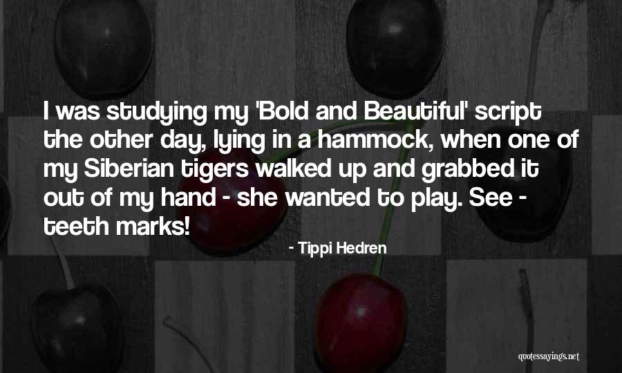 Balakirev Overture Quotes By Tippi Hedren Balakirev Overture Quotes By Tippi Hedren