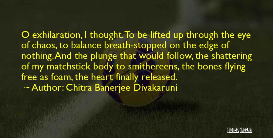 Balance And Chaos Quotes By Chitra Banerjee Divakaruni