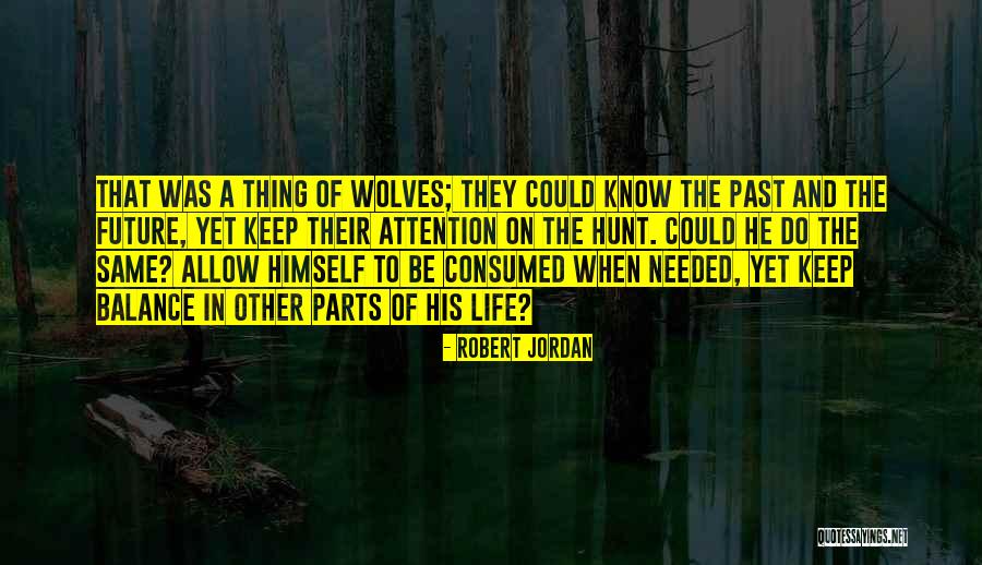 Balance And Focus Quotes By Robert Jordan Balance And Focus Quotes By Robert Jordan