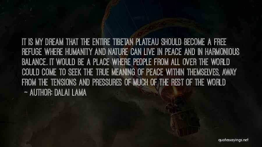 Balance And Peace Quotes By Dalai Lama