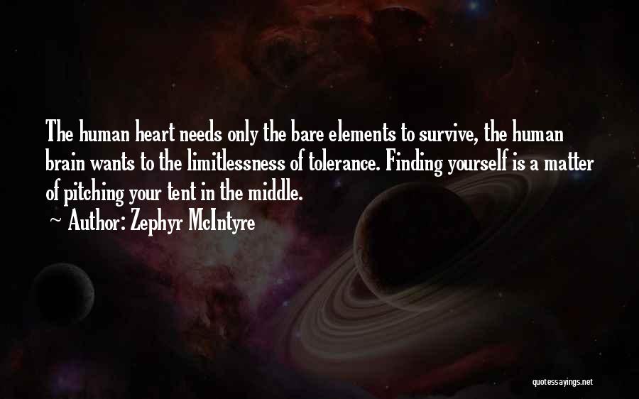 Balance Heart And Brain Quotes By Zephyr McIntyre