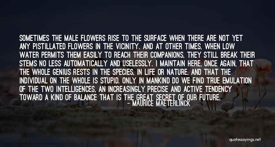 Balance In Nature Quotes By Maurice Maeterlinck