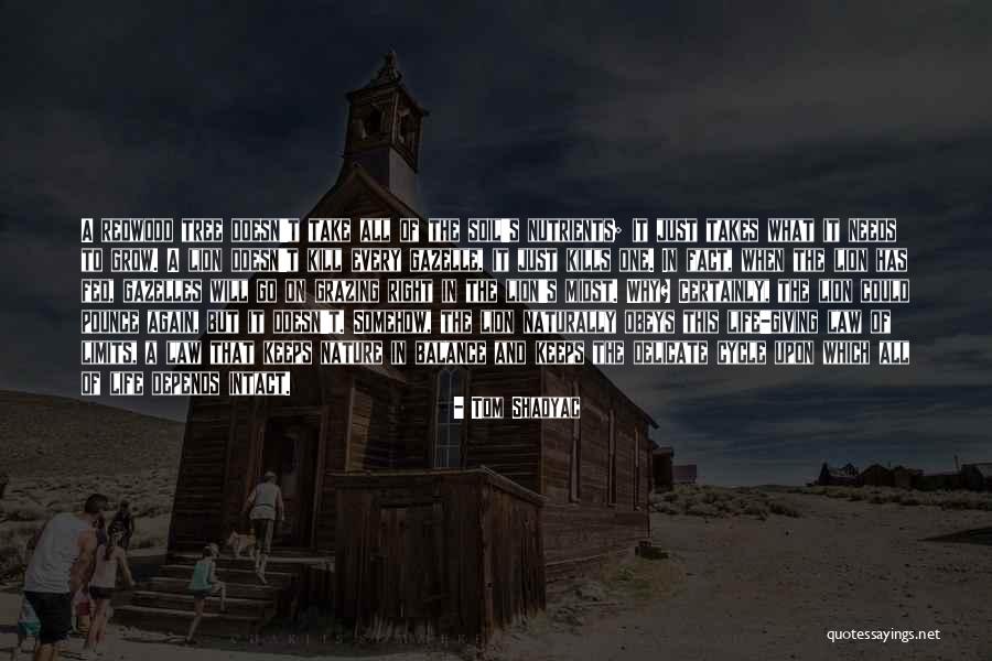 Balance In Nature Quotes By Tom Shadyac Balance In Nature Quotes By Tom Shadyac