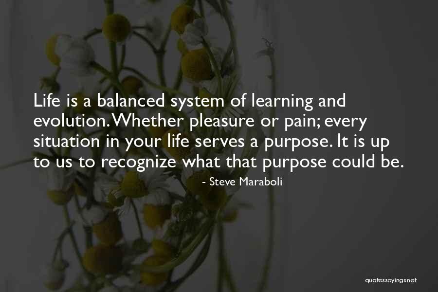 Balance In Your Life Quotes By Steve Maraboli