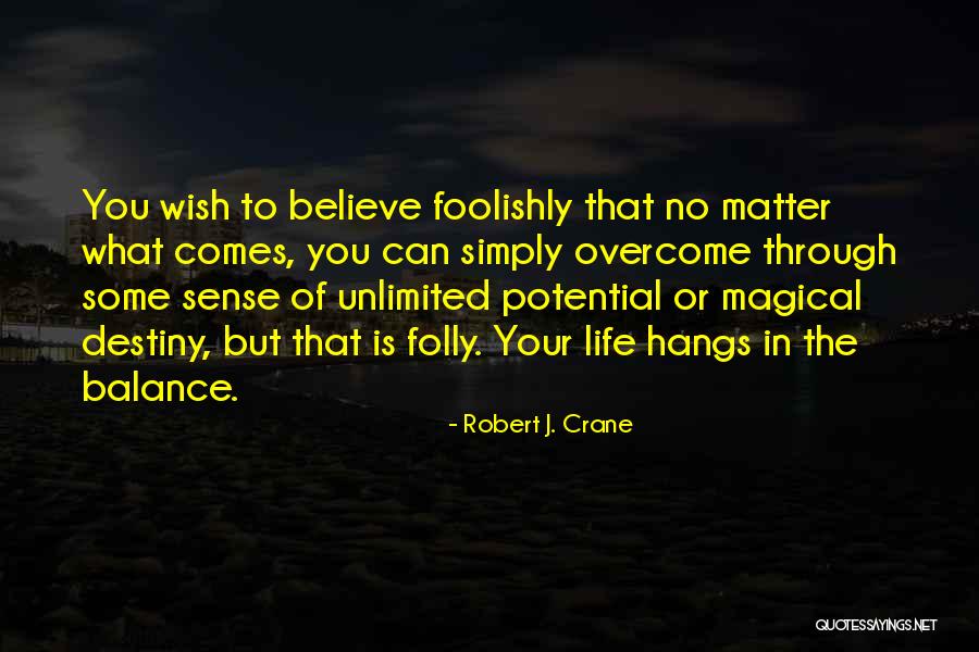 Balance Of Life Quotes By Robert J. Crane