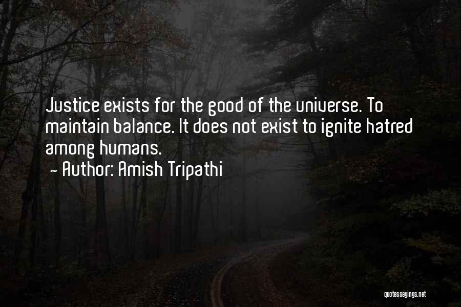 Balance Of The Universe Quotes By Amish Tripathi
