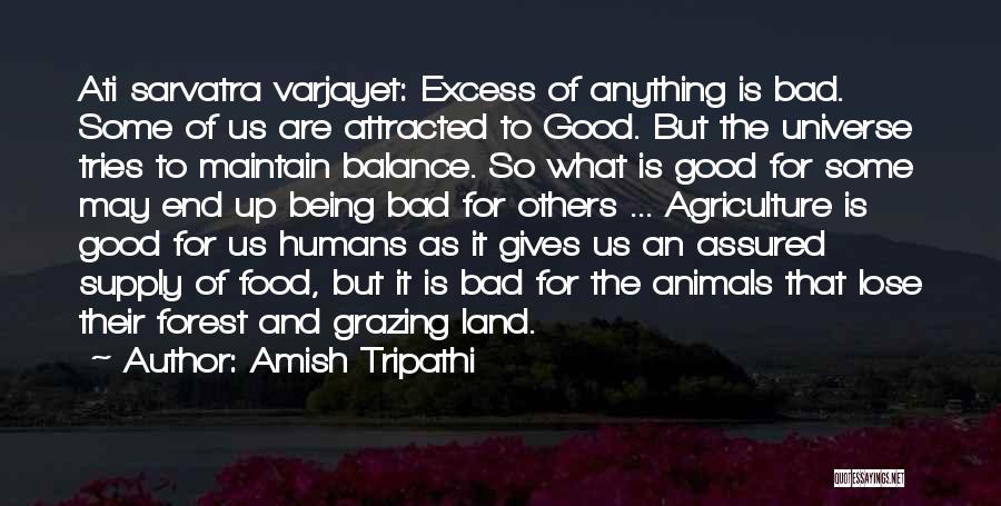 Balance Of The Universe Quotes By Amish Tripathi