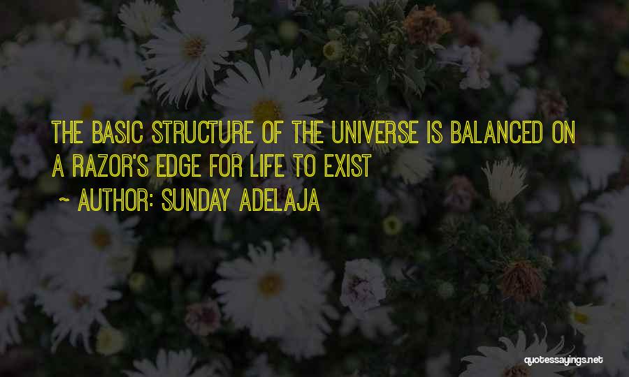 Balance Of The Universe Quotes By Sunday Adelaja