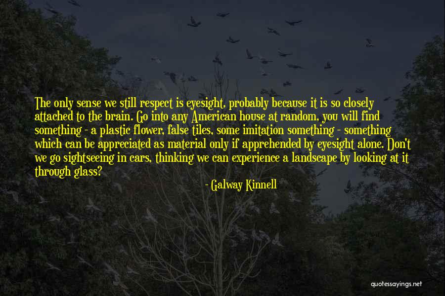 Balbinot And Brommelkamp Quotes By Galway Kinnell Balbinot And Brommelkamp Quotes By Galway Kinnell