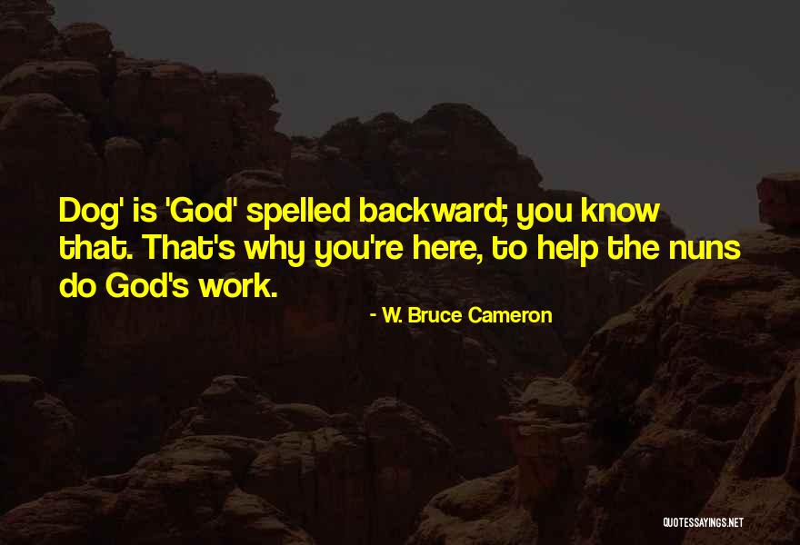 Balbis Shape Quotes By W. Bruce Cameron Balbis Shape Quotes By W. Bruce Cameron