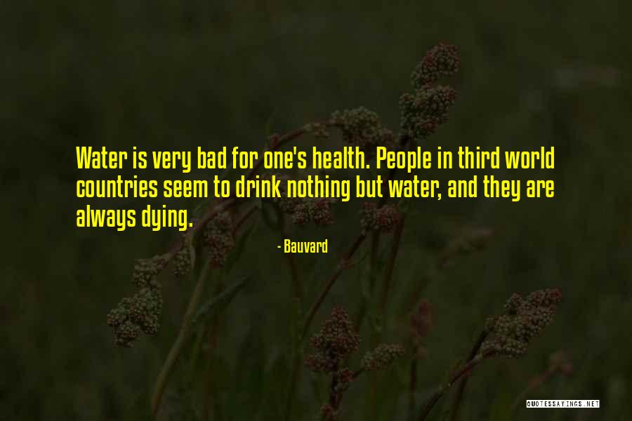 Balcacer Estevez Quotes By Bauvard Balcacer Estevez Quotes By Bauvard