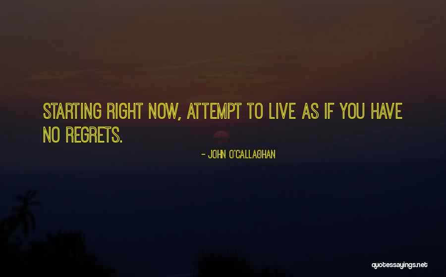 Balcombes Quotes By John O'Callaghan