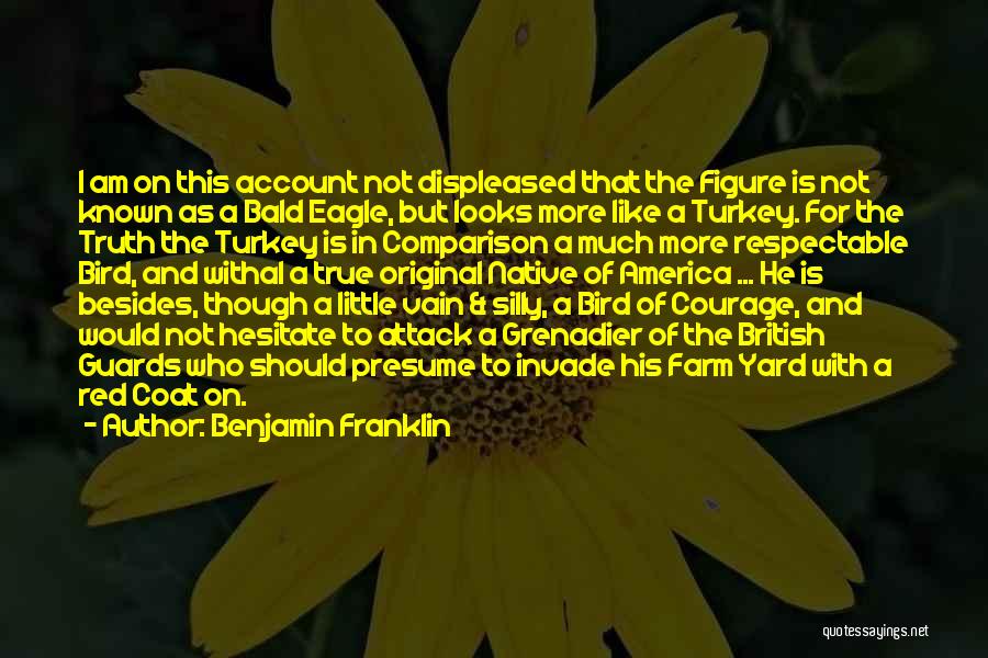 Bald Eagle Quotes By Benjamin Franklin