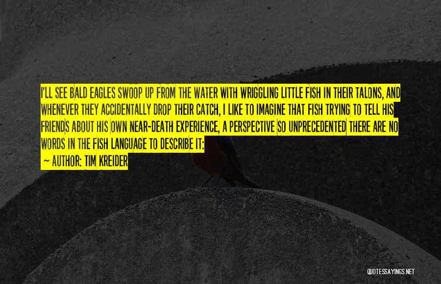 Bald Eagles Quotes By Tim Kreider