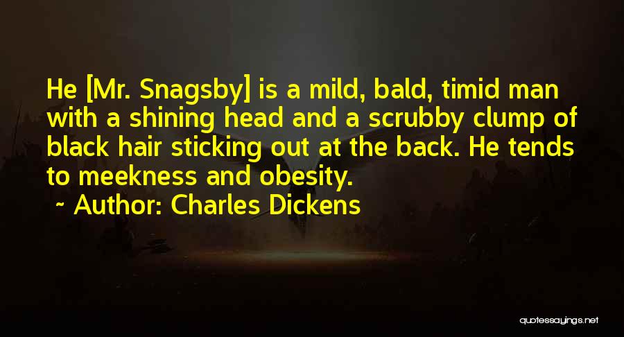 Bald Hair Quotes By Charles Dickens