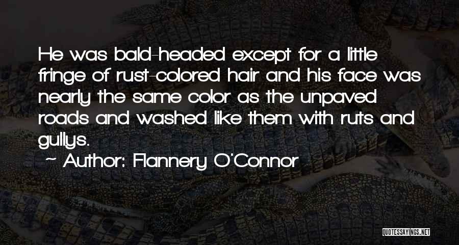 Bald Hair Quotes By Flannery O'Connor