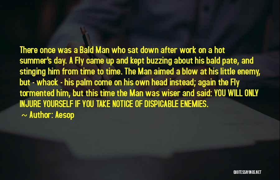 Bald Head Man Quotes By Aesop