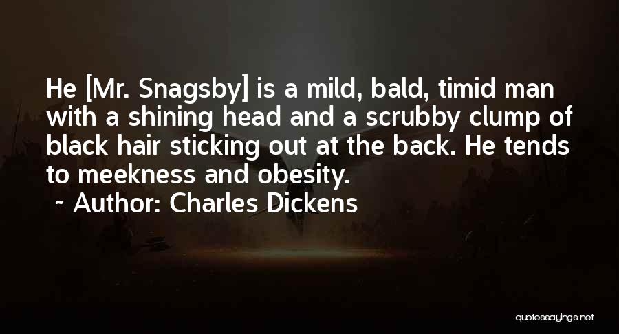 Bald Head Man Quotes By Charles Dickens