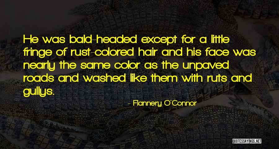 Bald Quotes By Flannery O'Connor Bald Quotes By Flannery O'Connor