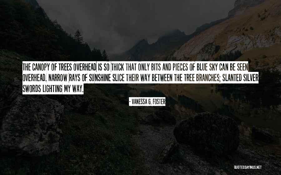 Baldacconi Solteiro Quotes By Vanessa G. Foster Baldacconi Solteiro Quotes By Vanessa G. Foster