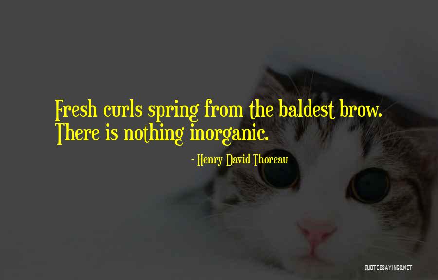 Baldest Quotes By Henry David Thoreau Baldest Quotes By Henry David Thoreau