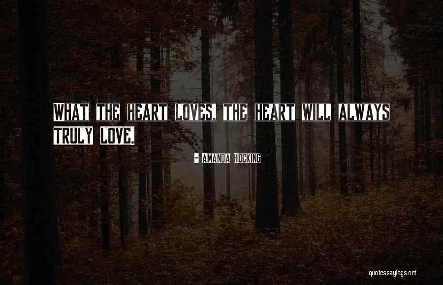 Balducci Mclean Quotes By Amanda Hocking Balducci Mclean Quotes By Amanda Hocking