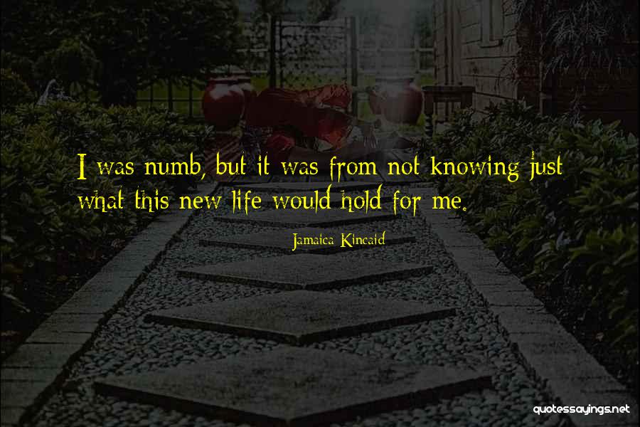 Baleias Para Quotes By Jamaica Kincaid Baleias Para Quotes By Jamaica Kincaid