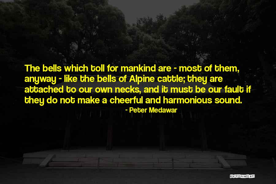 Balestrini Dentist Quotes By Peter Medawar Balestrini Dentist Quotes By Peter Medawar