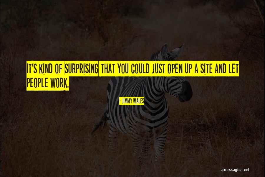 Bali Panties Quotes By Jimmy Wales Bali Panties Quotes By Jimmy Wales