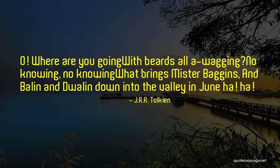 Balin Quotes By J.R.R. Tolkien