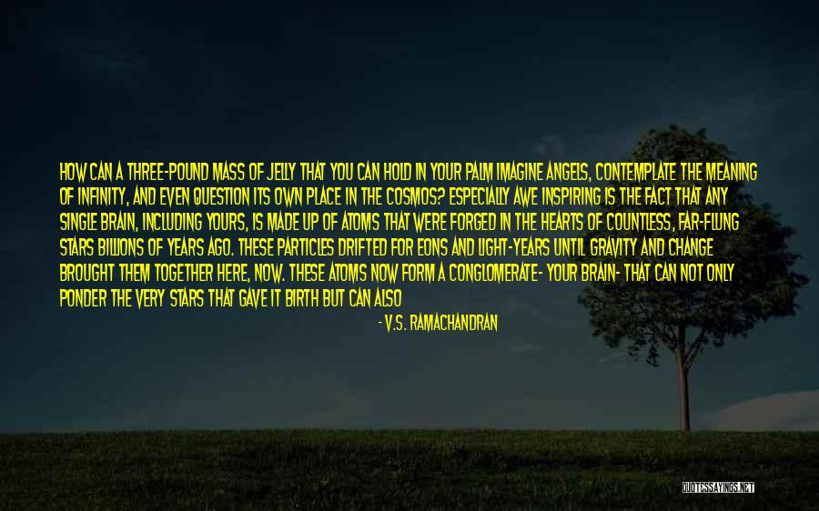 Balinon Quotes By V.S. Ramachandran Balinon Quotes By V.S. Ramachandran