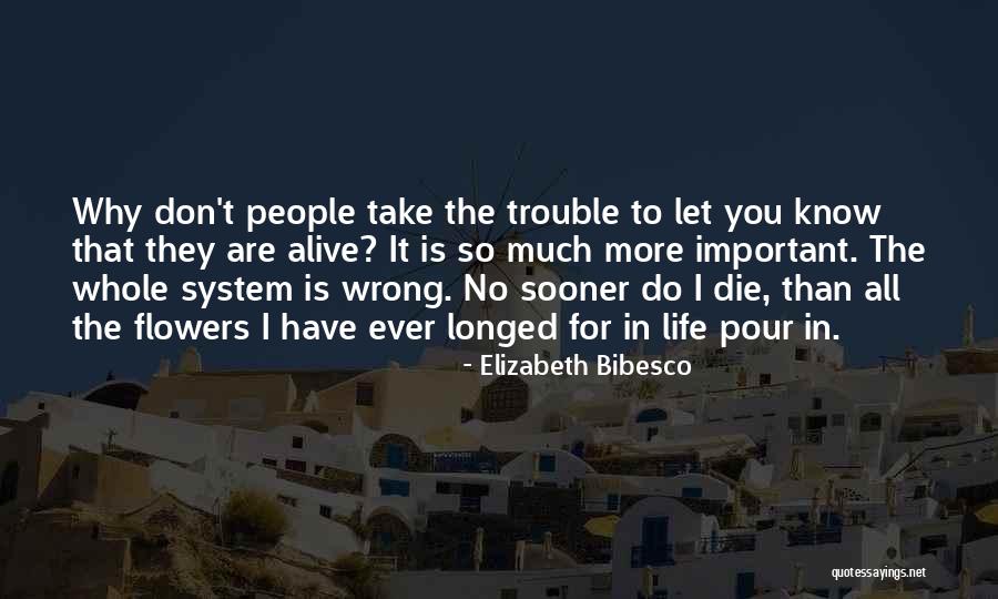 Balinski Beth Quotes By Elizabeth Bibesco Balinski Beth Quotes By Elizabeth Bibesco
